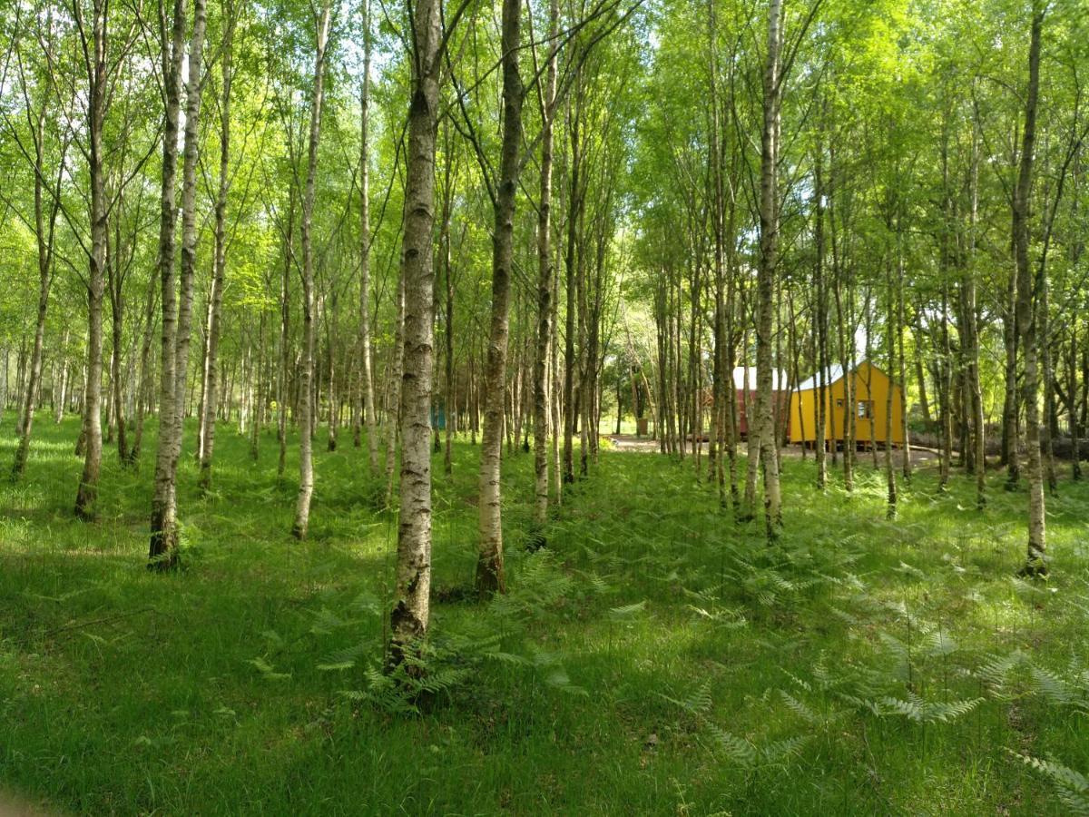 Cabanas Da Ulla Touro Exterior foto